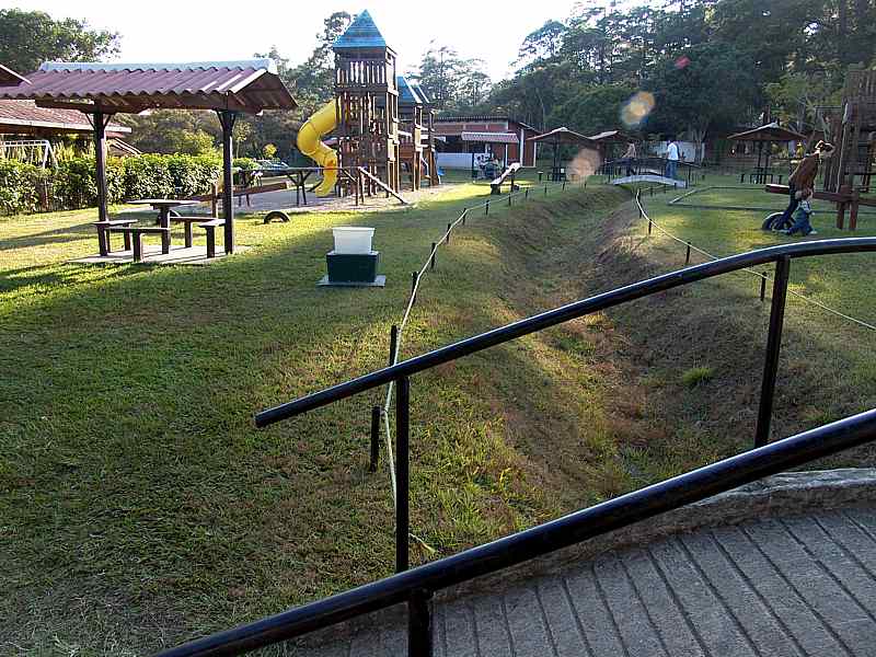 View From Rear